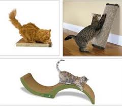artikel-populer.blogspot.com - 6 Tips Menangani Kebiasaan Mencakar Kucing